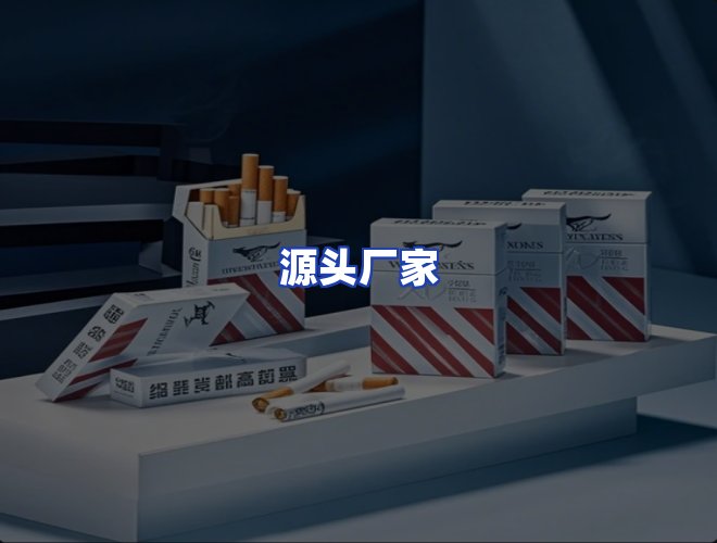 专业团队